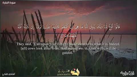 سورة البقرة صفحة 11 القارئ اسلام صبحي من الآية 70 الي الآية 76 يلا نحفظ قرآن كريم