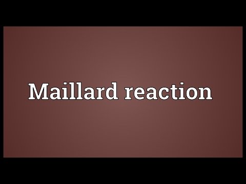 Maillard Reaction Meaning Youtube