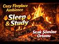 Fireplace Night Ambience 🔥 Peaceful Fire Sounds for Deep Sleep