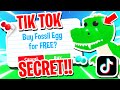 Trying TIKTOK HACKS To Get FREE DINO EGGS In ROBLOX ADOPT ME!! (Do They Work?)