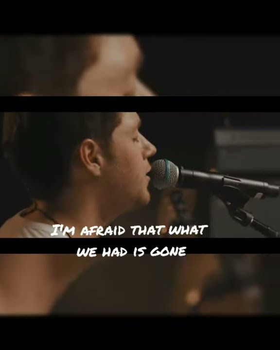 Niall Horan-'Flicker' (whatsapp status)