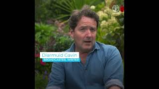 Plant Health Risks