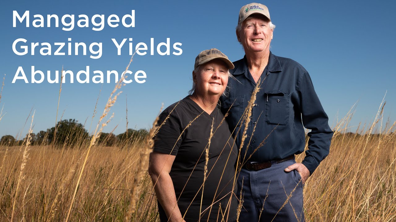 Regrow Ranchers Regenerative Ranchers Tested High Stock Density Grazing on Their Native ...