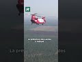 Qu'est-ce que le Chinook CH-47D, ce méga hélicoptère prêté par l'Australie à la France ?
