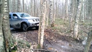 Nissan Pathfinder в лесу