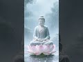 🧘Music of the Buddha 🧘A Journey into Inner Peace🧘 #buddhistmusic  #relaxingmusic