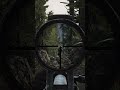 SVT on woods