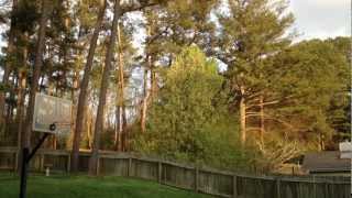 Eflite Blade Sr flying in my backyard