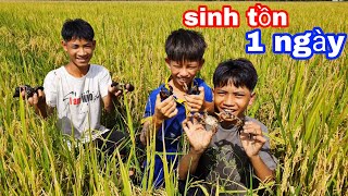 TEAM SANG VLOG SINH TỒN 1 Ngày Trên Ruộng Mùa LÚA Chín