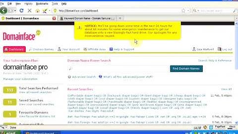 Domainface: the Ultimate Domain Tool