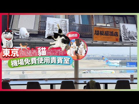 夏遊東京最終回 機場貴賓室免費使用✈️ 好吃又好玩東京必逛到處是貓🐱的商店街！