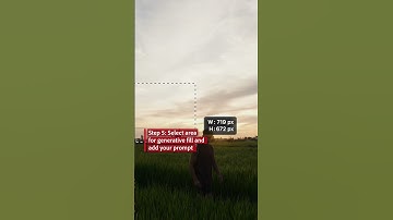 Add Elements to Videos Using Generative Fill #shorts