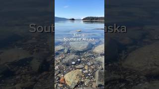 Why We Live in Alaska