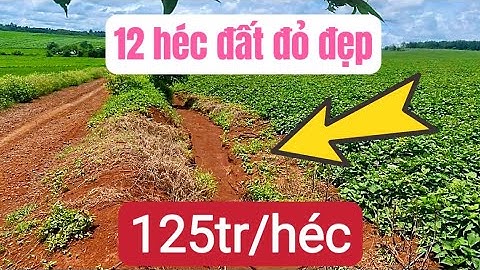 Bán đất vườn, đất nông nghiệp giá rẻ, bất động sản tây nguyên