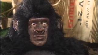 Famous Monty Python Night: More Sketches Wealth