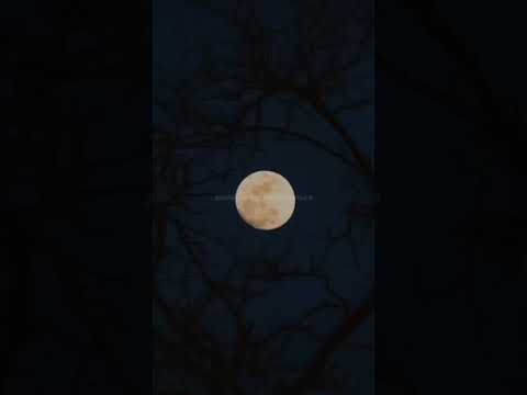 давай не будем прятаться...Оцени если понравился ремикс #music #remix