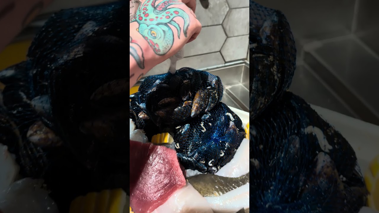 🐟The truth about British supermarket fish!😱🐟