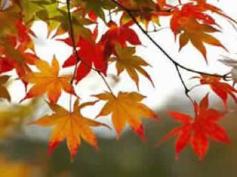 Andy Williams Singing Autumn Leaves -photos From Branson, MO