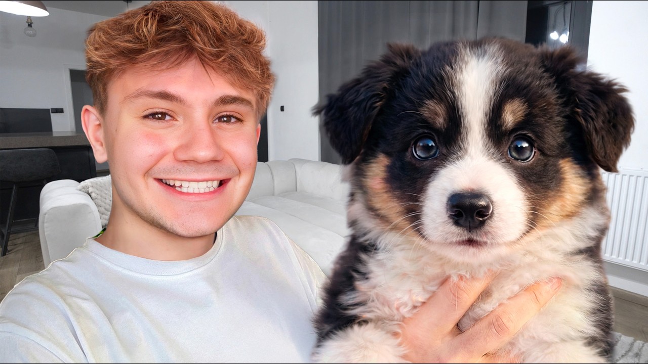 Я завёл щенка!