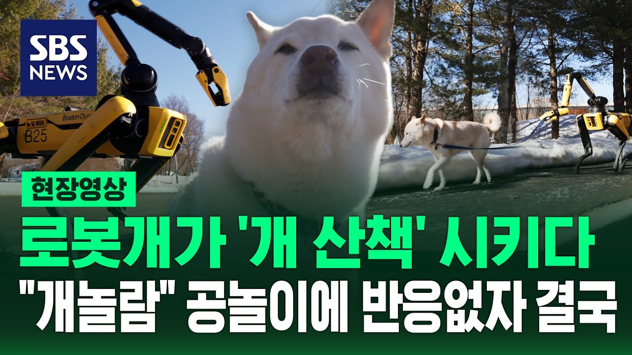 개 산책 시키는 로봇개, 공놀이 하려는데 공 안 주워오자 (현장영상) / SBS