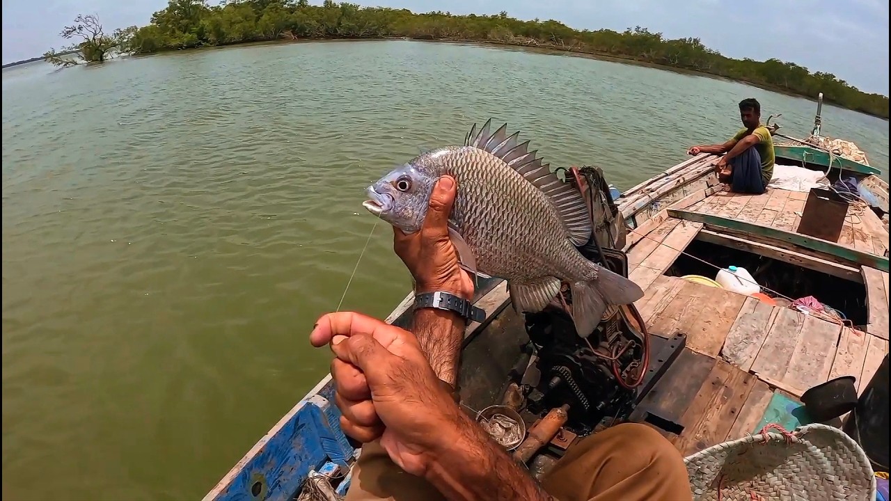 Bottom Fishing In Katori Creak | Near Port Qasim Channel Karachi