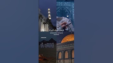 ﴿حَتّى إِذَا استَيأَسَ الرُّسُلُ وَظَنّوا أَنَّهُم قَد كُذِبوا﴾ سورة يوسف ( عبد الرحمن مسعد )