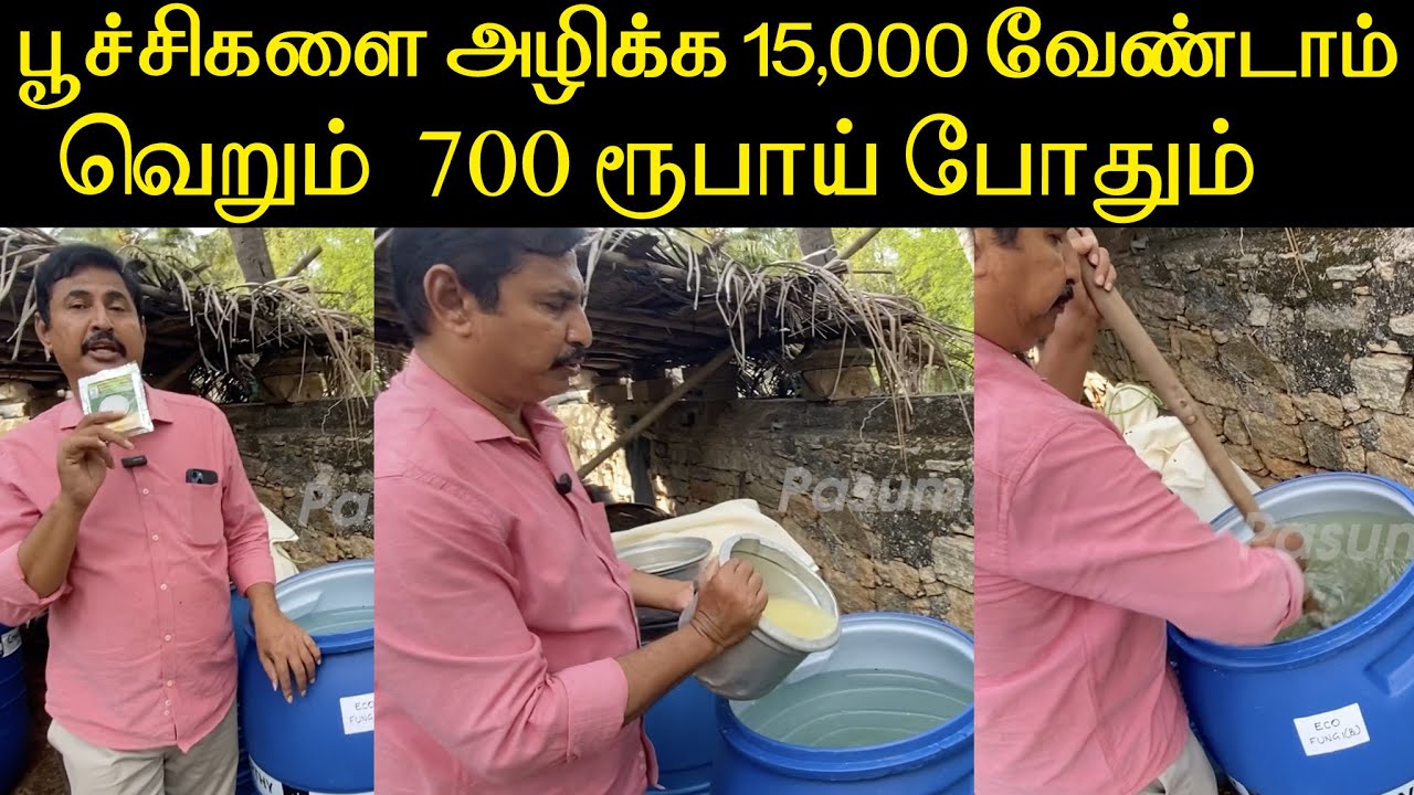 பூச்சிகளை அழிக்க 15,000 வேண்டாம் வெறும்  700 ரூபாய் போதும் /#pasumaivivashayam#இயற்கை 