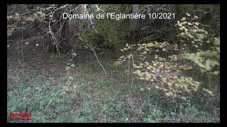 Domaine de l'Eglantiére 10/21