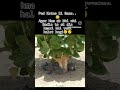 #earth #care #animals #trees