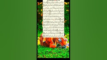 سورة الملك / قاسم عبدالغفار الأحمد