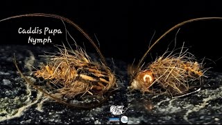Tying a Caddis Pupa Nymph - Tied by Matthias Dibiasi - DePunkt Fly