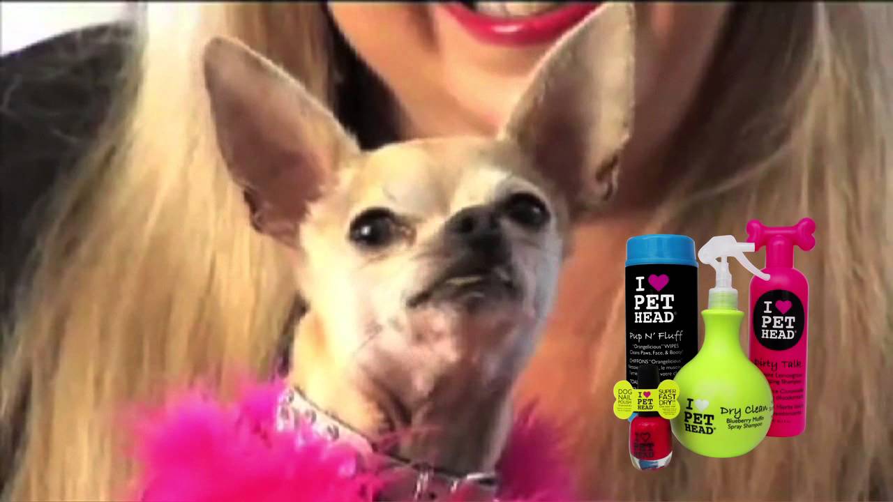Pet Head Commercial YouTube