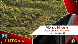 Maya Mash | Realistic Grass | Lecture 6