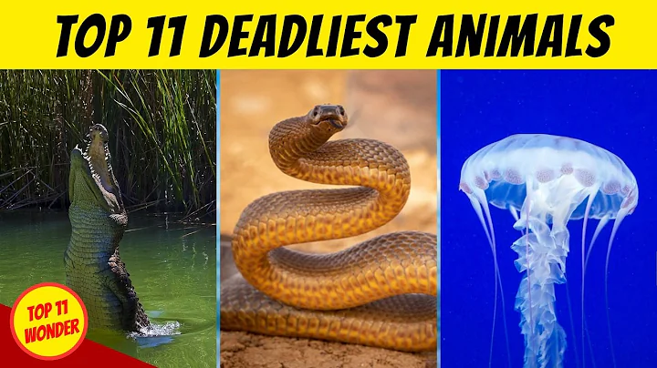 Top 11 Deadliest Animals in Oceania That Can Kill You