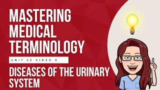 Active Learning 🔍 Common Urinary System Diseases Explained: Acute vs. Chronic & More! 💧🩺