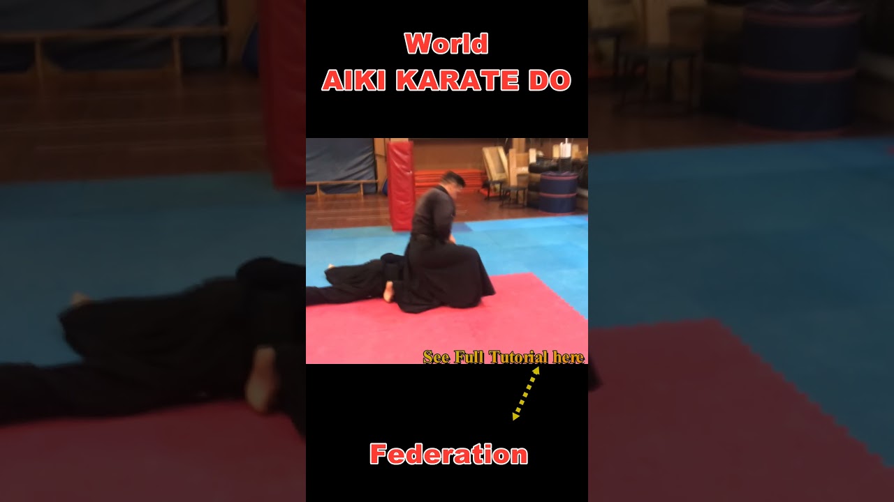 IKKYO Technique (Pinning Technique) 