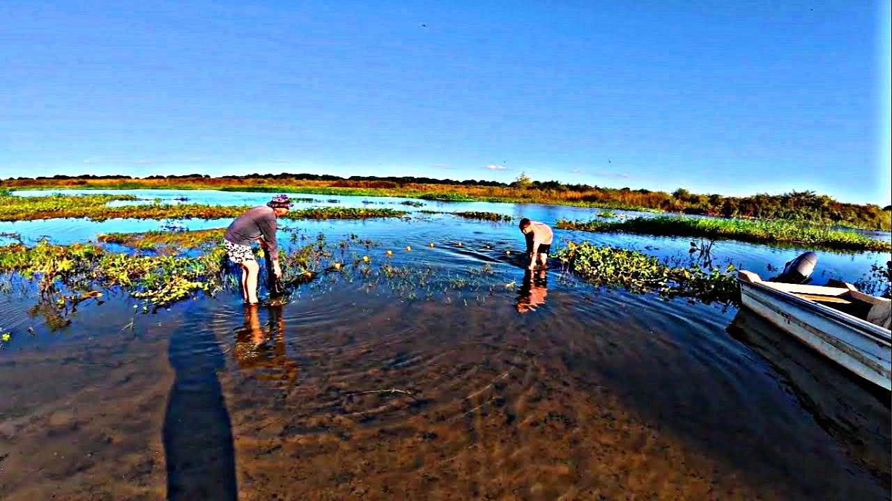 PESCA ARTESANAL 😱 ASI SACO CARNADA Y ATRAPO GRANDES PECES
