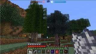 Ark's Magical Modded Minecraft Misadventure 35 : Forestry Tree-Breeding Basics