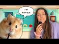 Back to School Q&A with Jellybean (she sings all the answers🎤)