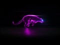 Lion (probably)