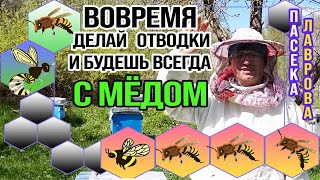 Вовремя сделай Отводки и будешь с Мёдом.