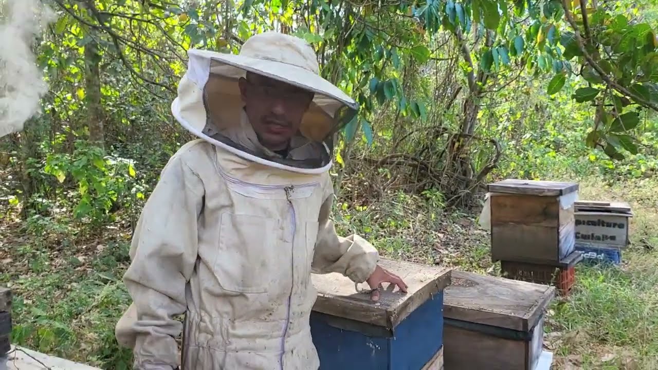 Como aumentar nuestro apiario