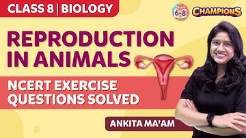 Reproduction in Animals Class 8 Science NCERT Questions Solved | BYJU