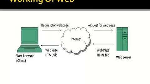 World Wide Web (class7)
