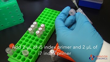 Chapter 6 - CleanPlex Targeted Library Preparation - Second PCR Reaction