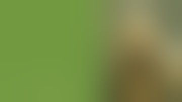 Video Process "A2" Demo