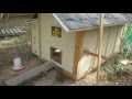 Our Easy, Cheap Chicken Coop Our Easy, Cheap Chicken Coop