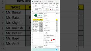 Hide and Unhide Number 🔥 in Excel || Excel tutorial for beginners 💯 || #excelwithbapisardar #msexcel