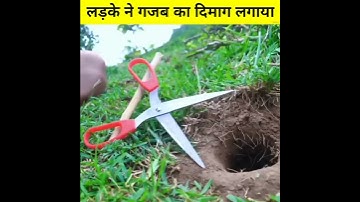 Experiment ➡️ 🐍 Snake Rescue लड़की ने गजब का दिमाग लगाया सांप को पकड़ने के लिए 🐍 #shorts