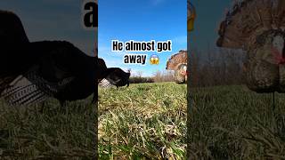 Longbeard almost got away! 360 POV